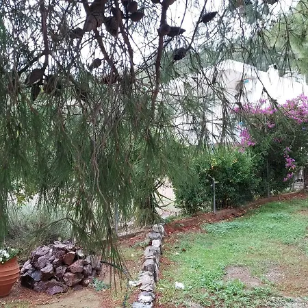 Blue Lagoon Λουτράκι