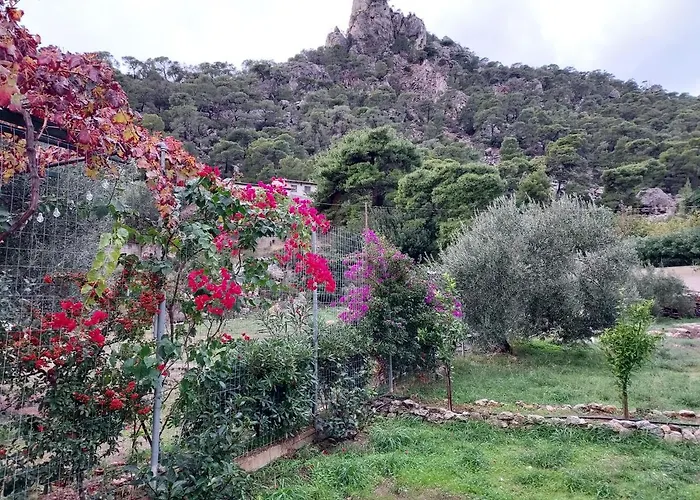 Blue Lagoon Dom wakacyjny